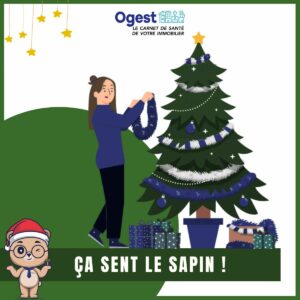 20231220 - ça sent le sapin !